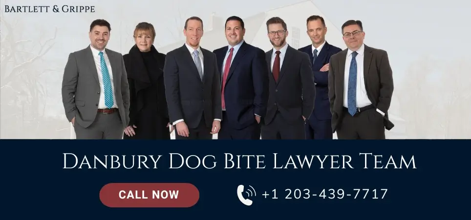 Danbury Dog Bite Lawyer-img