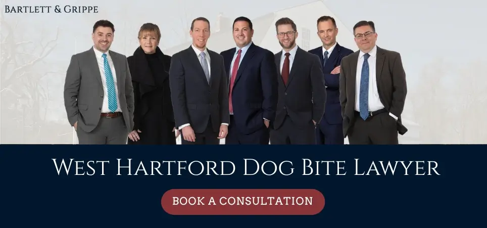 West Hartford Dog Bite Lawyer-img