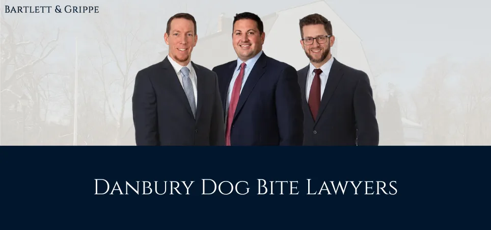 Danbury Dog Bite Lawyer-img